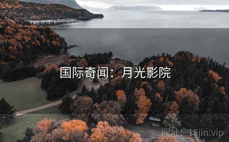 国际奇闻：月光影院