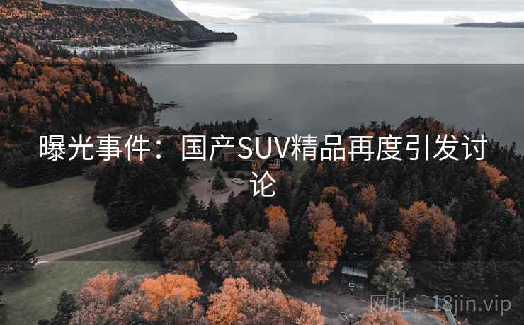 曝光事件:国产SUV精品再度引发讨论
